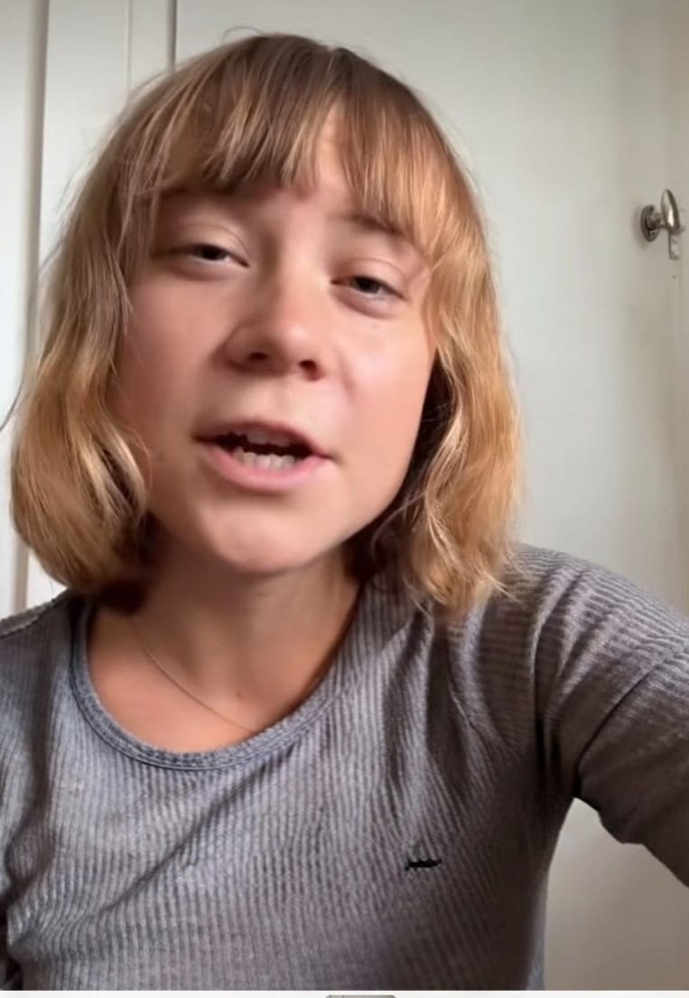 Pesan Daurat Karhulta ke Dunia, Siapa Greta Thunberg?